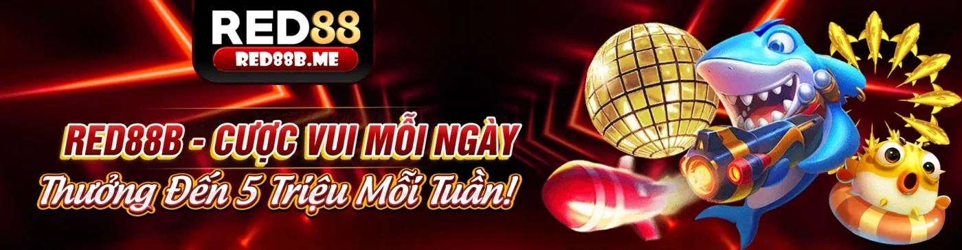 Tham gia 98win58 Code ngay hôm nay
