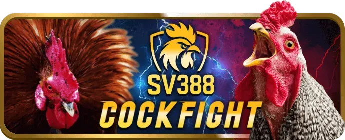 Người dùng nhập mã 98win58 để kích hoạt ưu đãi